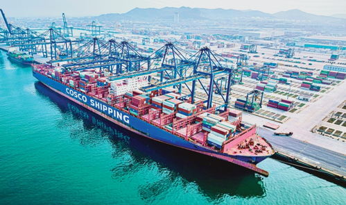 大連港 高效通關與便利貿易，引領國際船舶運輸新篇章